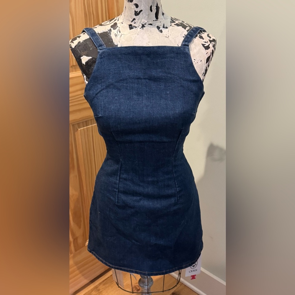 Cider Blue Denim Mini Dress with Fitted Silhouette